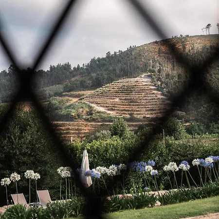 Burra Velha - Al By Seara Basto