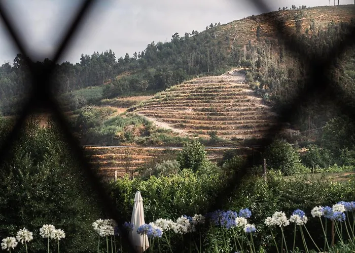 Burra Velha - Al By Seara Basto